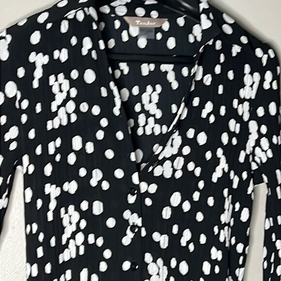 TanJay dot’s button down pleated blouse size 8 - Picture 4 of 11